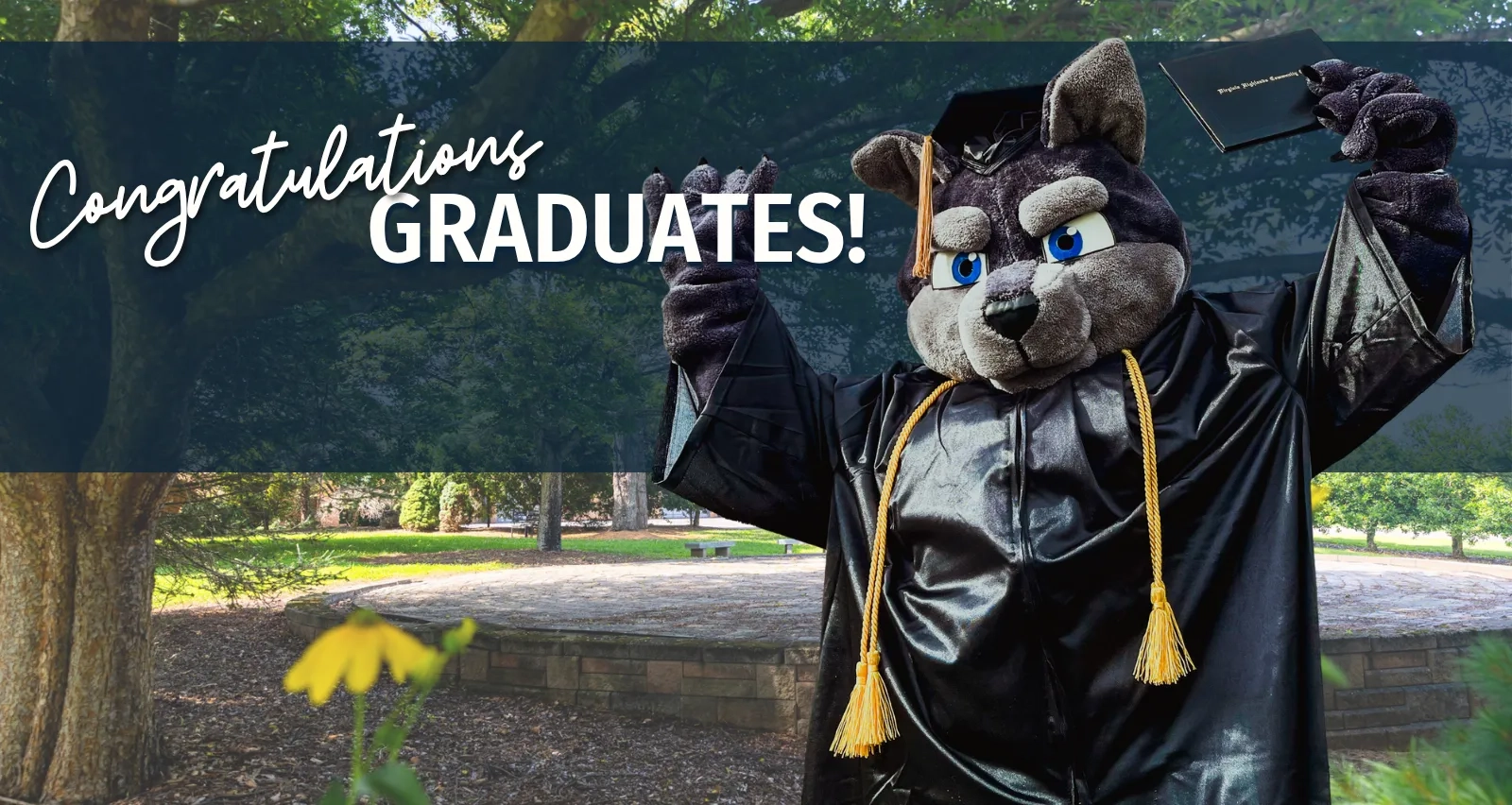 A graduation celebration image featuring the school mascot—a grey and black wolf—wearing a black graduation cap and gown with gold tassels. The mascot holds up a diploma against a background of a sunlit park with green trees. White text on a navy blue banner overlay reads, "Congratulations GRADUATES!"