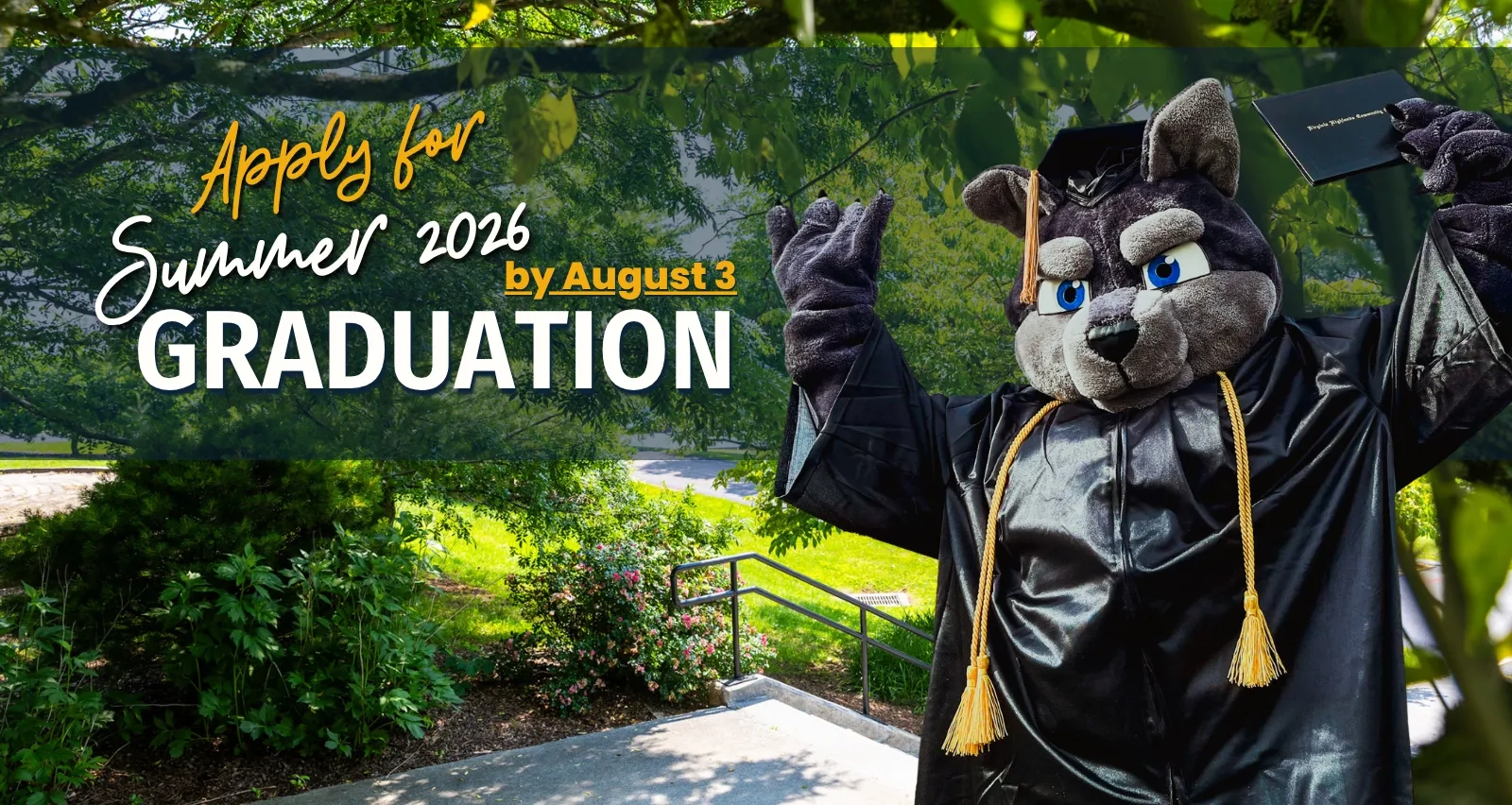 A school mascot dressed as a grey wolf wears a black graduation cap and gown with gold tassels, celebrating outdoors while holding up a diploma. Overlay text reads: "Apply for Summer 2026 by August 3 GRADUATION".