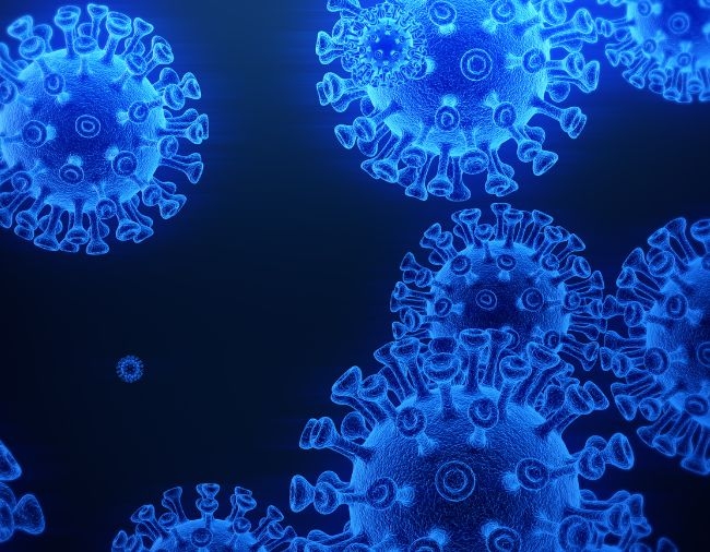 Covid Virus
